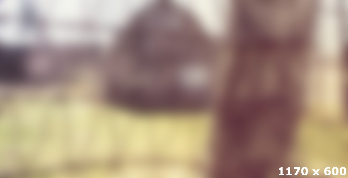 The Museum at the Lock House is a historic home located