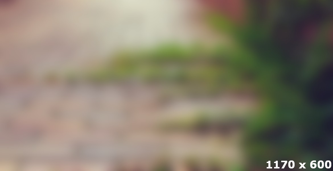 A Road Verge Is A Narrow Strip Of Grass Or Plants Sometimes