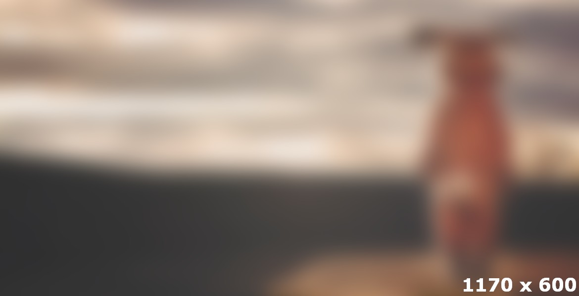 A Cartoon Experience From The Moment You Walk Through The Door